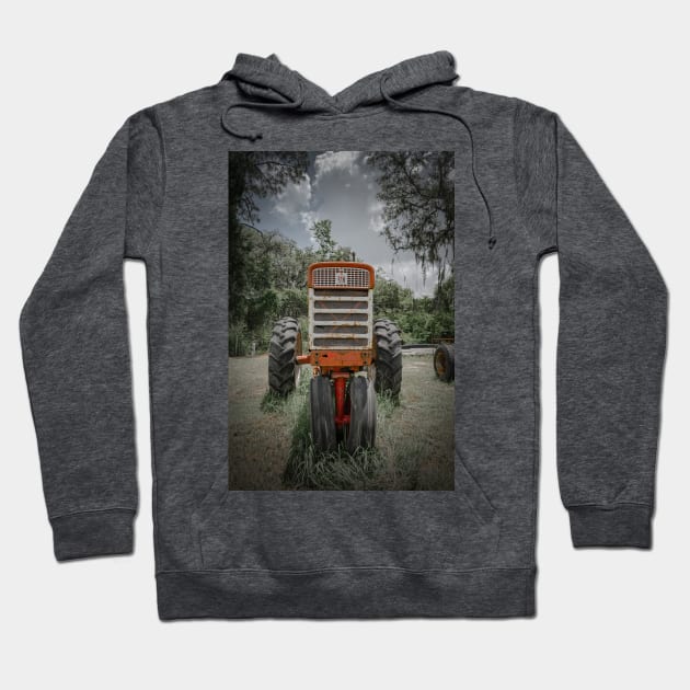 Growing Rust Hoodie by Enzwell